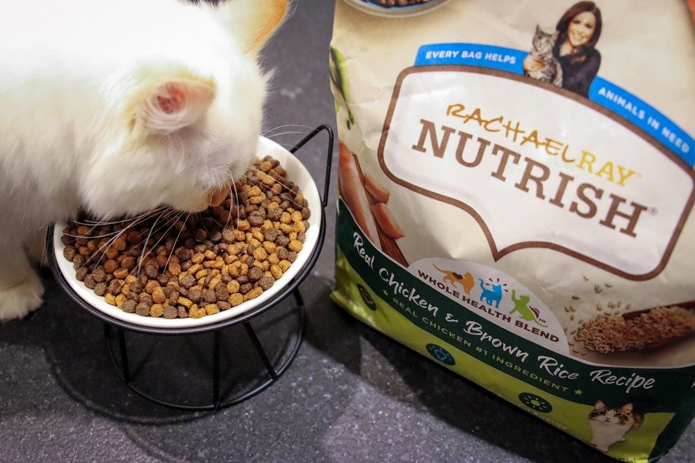 Rachael Ray Nutrish Real Chicken & Brown Rice Recipe Dry Cat Food