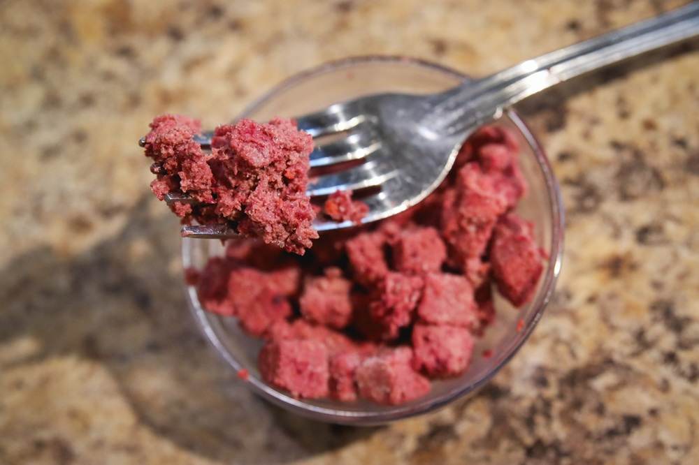 Raw Dynamic Pets Cage Free Chicken Fresh Frozen Cat Food