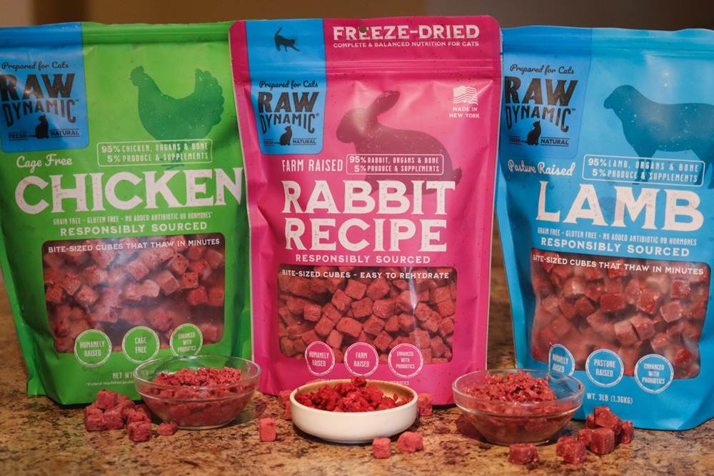 Raw Dynamic Pets Cat Food Brand Review