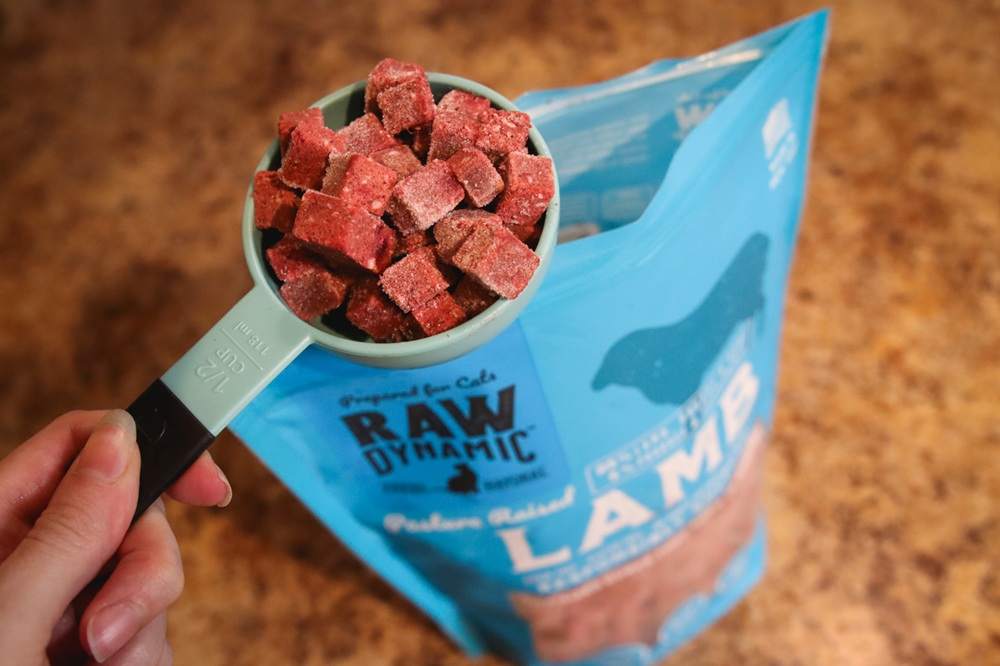 Raw Dynamic Pets Pasture Raised Lamb Fresh Frozen Cat Food