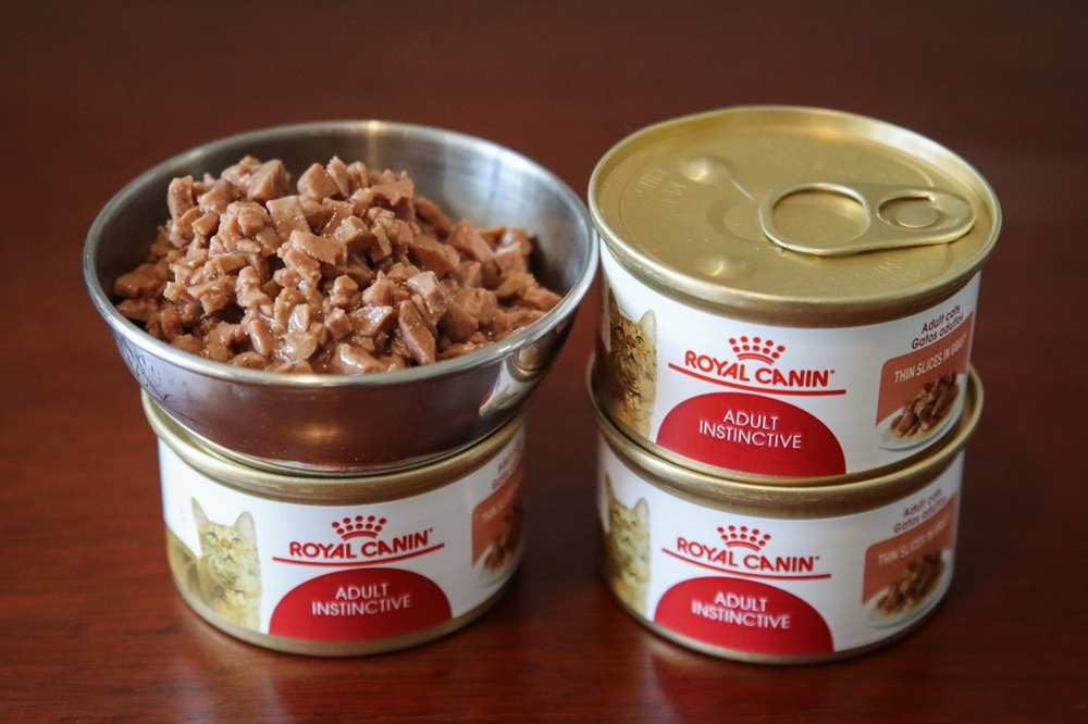 Royal Canin Feline Health Nutrition Adult Instinctive Thin Slices in Gravy Wet Canned Cat Food