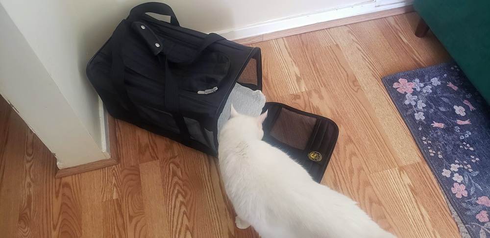 Sherpa Travel Original Deluxe Airline Approved Pet Carrier