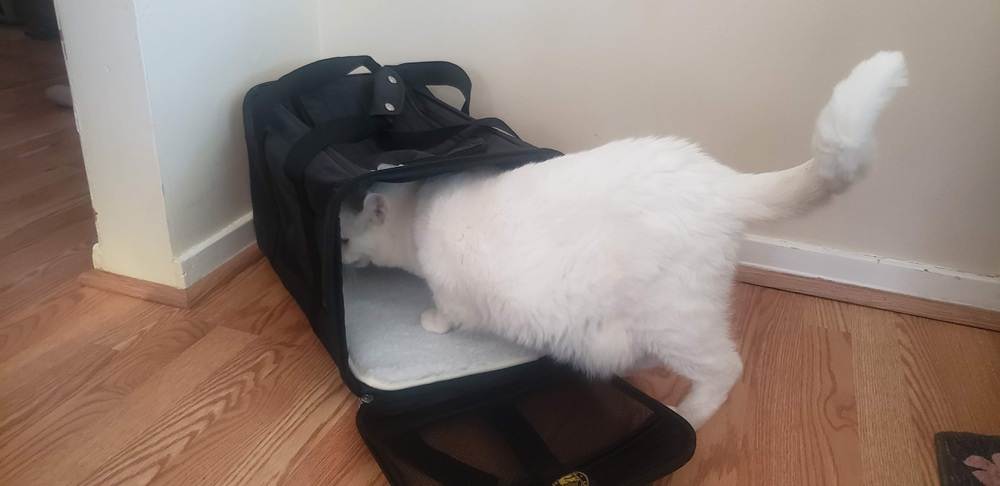 Sherpa Travel Original Deluxe Airline Approved Pet Carrier