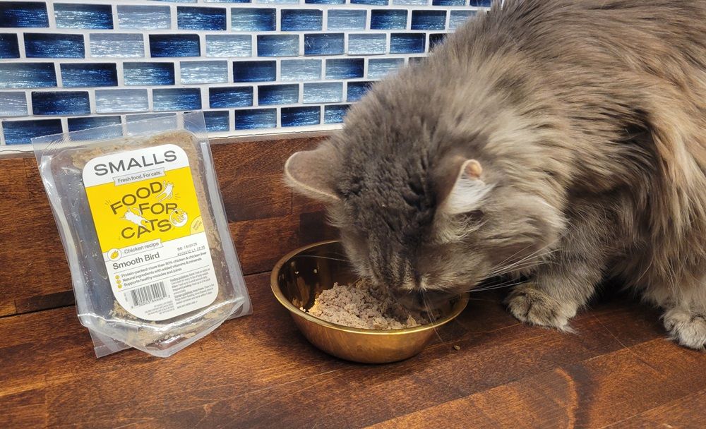 Small Fresh Smooth Bird