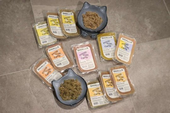 What Is Human-Grade Cat Food and How It’s Different