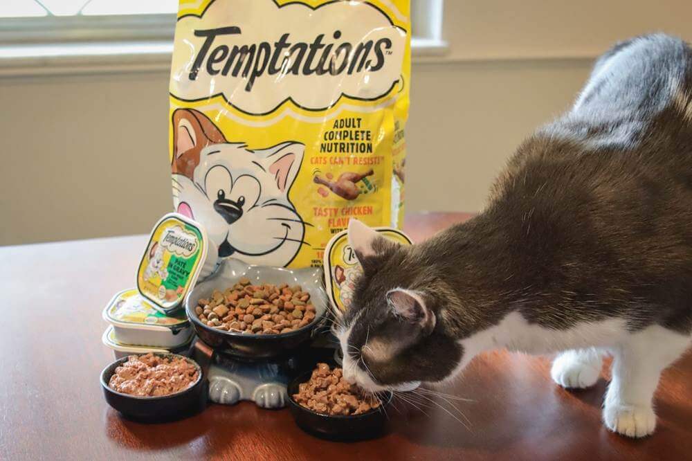 Temptations Cat Food-32