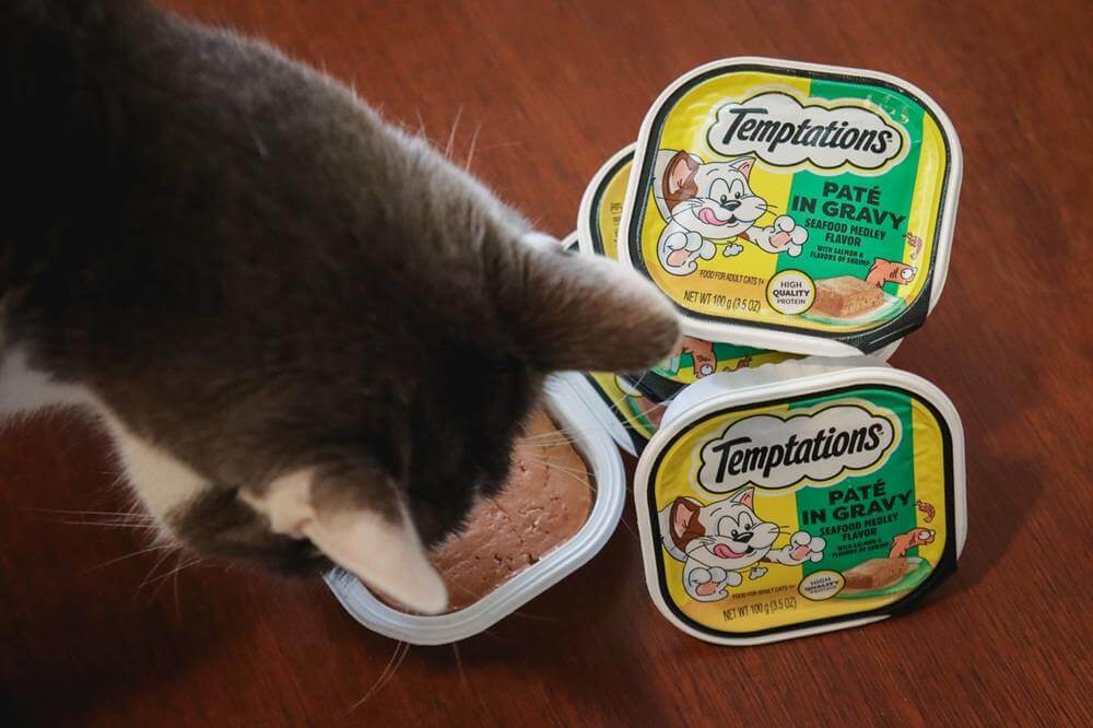 Temptations Seafood Medley Flavor Paté in Gravy