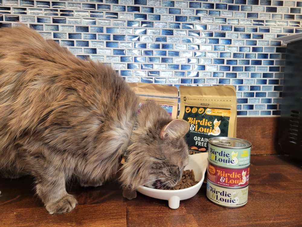 Cat testing Birdie & Louie Cat Food