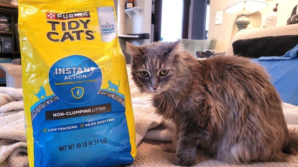Tidy Cats Instant Action Non-Clumping Clay Cat Litter