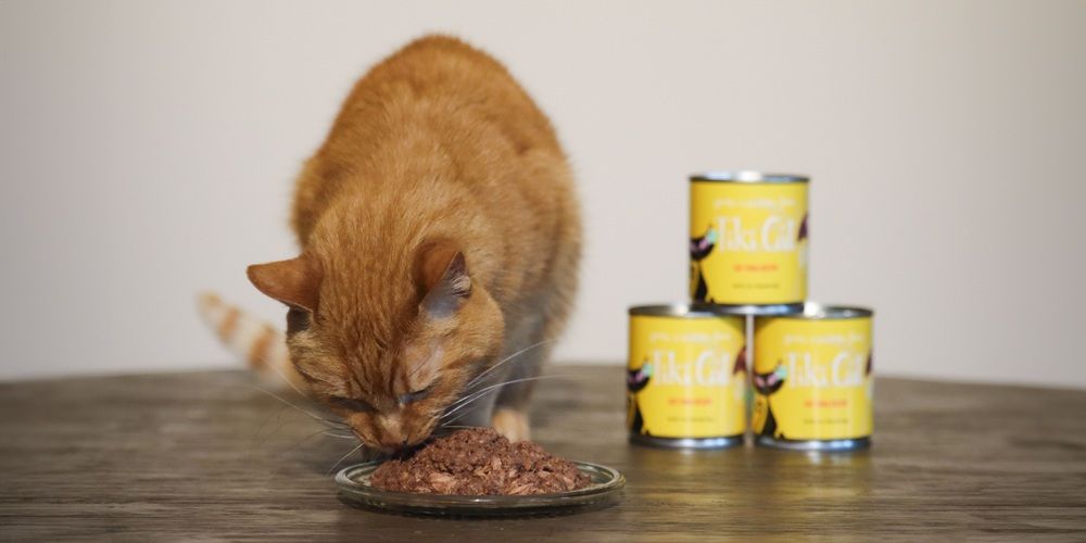 Tiki Cat Hawaiian Grill Ahi Tuna Grain-Free Canned Cat Food