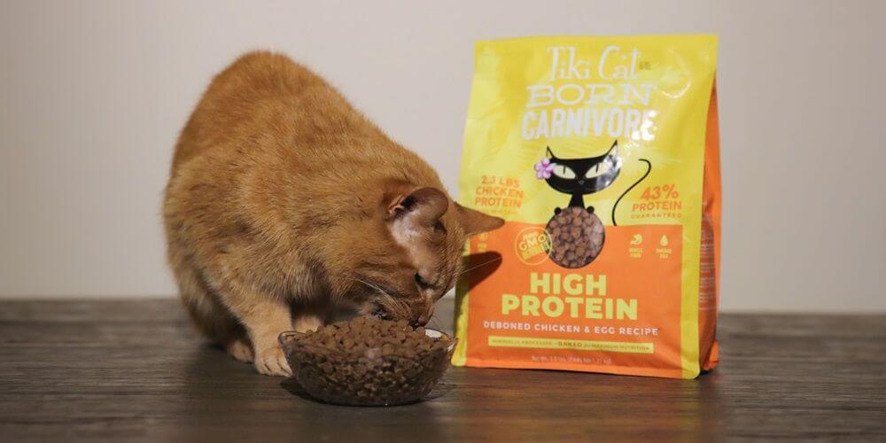 Tiki Cat Born Carnivore High Protein Deboned Chicken & Egg Recipe