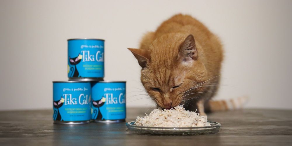 Tiki Cat Succulent Chicken Recipe In Chicken Consomme