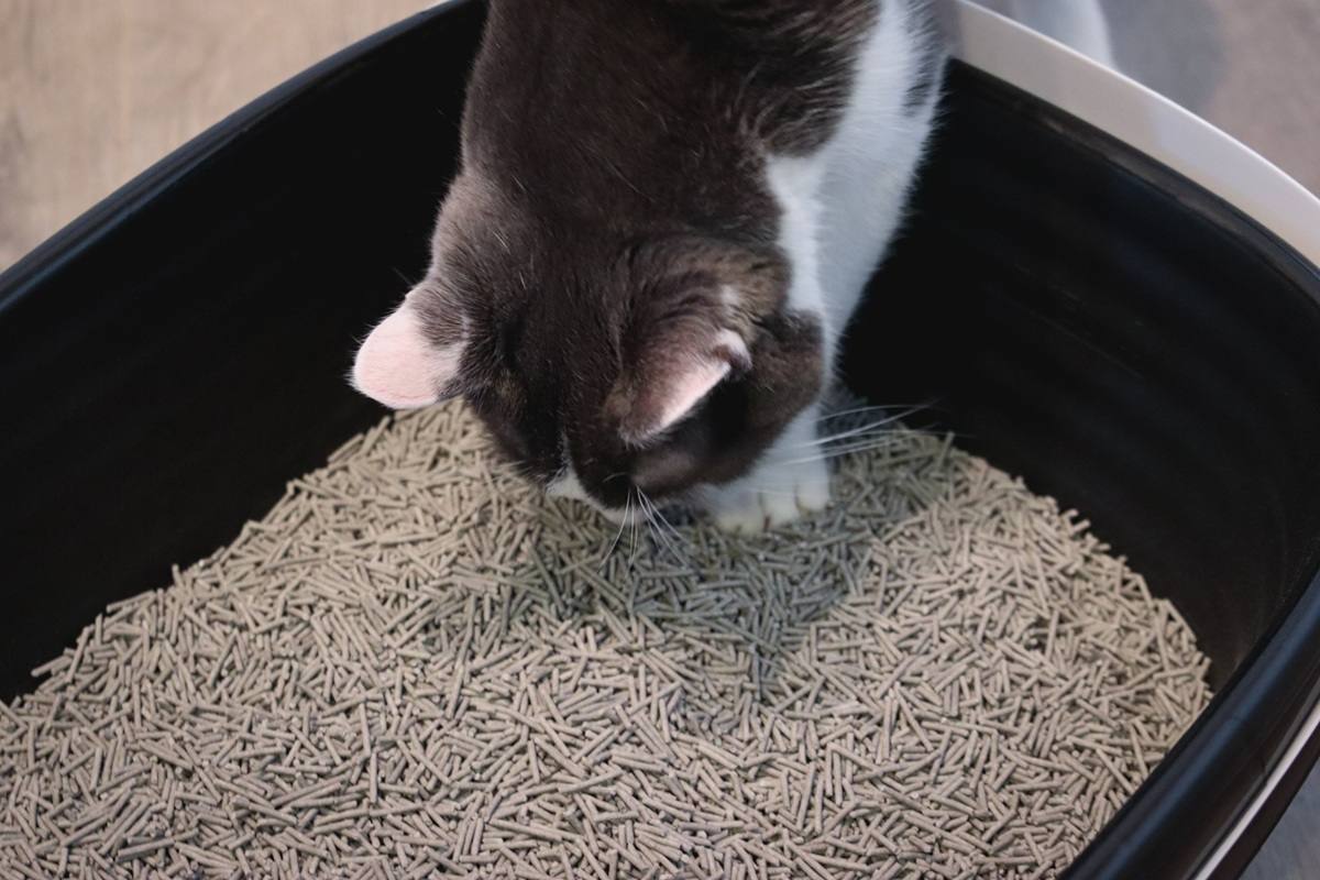 Tuft & Paw Really Great Cat Litter