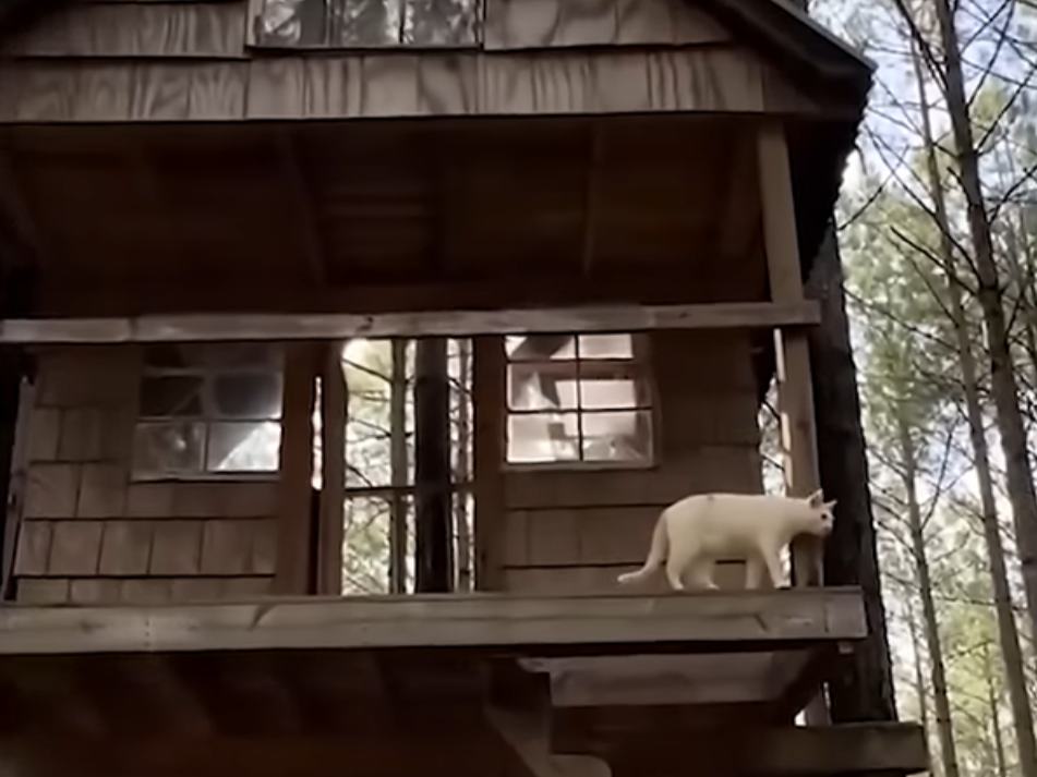 Unique personalities