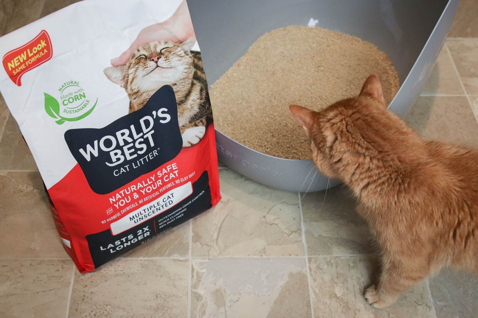 World's Best Cat Litter Multiple Cat Unscented-37