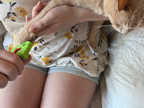 Zen Junior Pet Nail Clippers